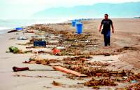 Brut&iacute;cia a la platja de Gav&agrave; Mar el 15 de setembre de 2006 entre la que va apar&egrave;ixer un peu hum&agrave;